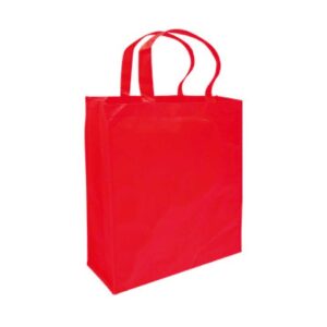 Bolsas TNT 38 x 45 x 12